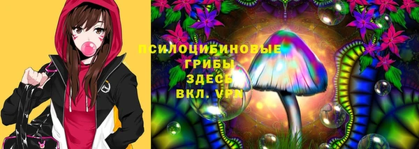 твердый Михайлов