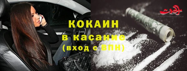 твердый Михайлов
