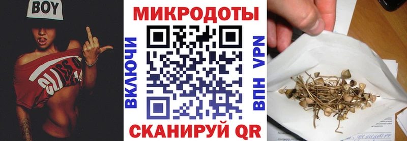 Галлюциногенные грибы мухоморы Новопавловск